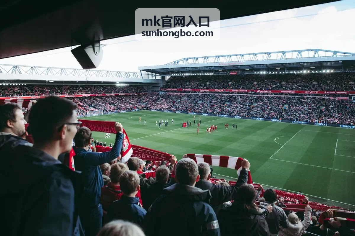 MK官网入口线下检测与访问状态评估