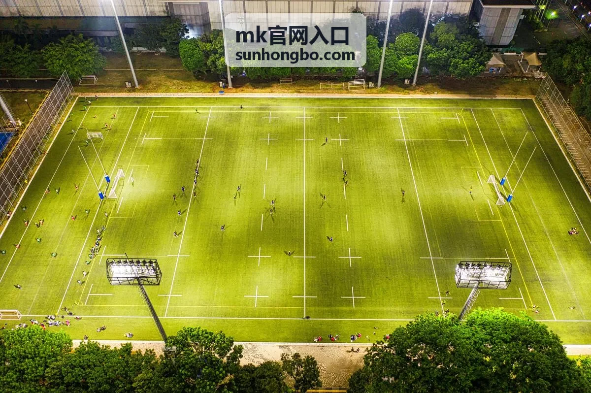 MK官网入口账号登录与验证码获取说明